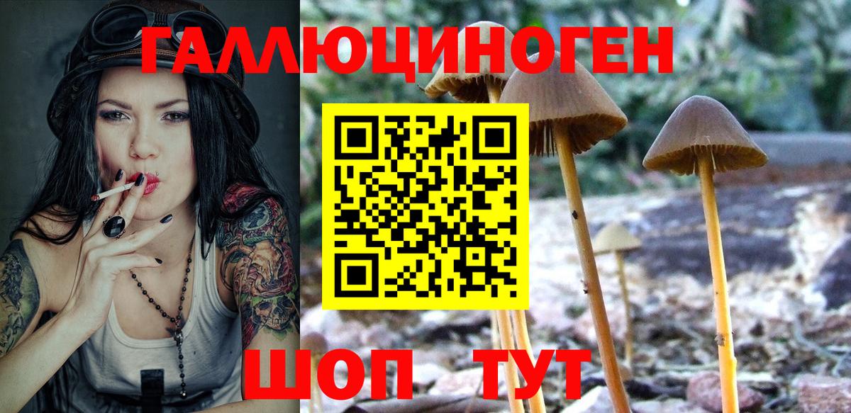 Псилоцибиновые грибы Cubensis  Вход с VPN  Петропавловск-Камчатский 