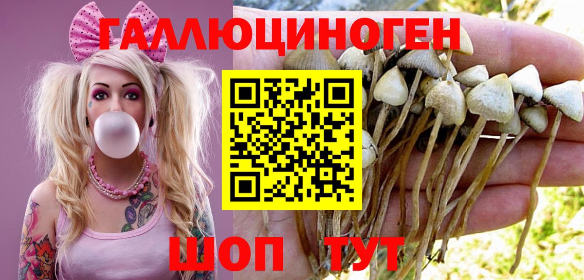 MDMA  ГАШИШ  Вход с VPN  Героин  Петропавловск-Камчатский  Канабис  МЕФ  